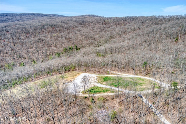 74 Black Cat Trl, Rockwood, TN 37854 - photo 16