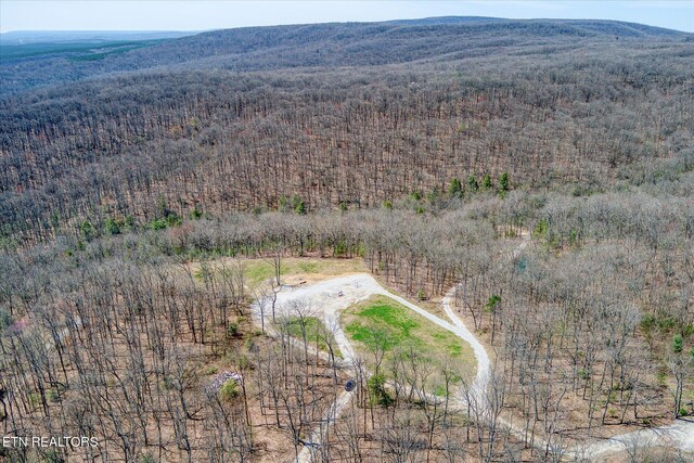 74 Black Cat Trl, Rockwood, TN 37854 - photo 18