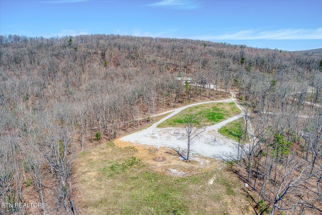 74 Black Cat Trl, Rockwood, TN 37854 - photo 19