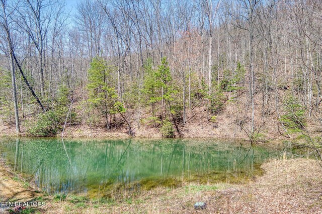 74 Black Cat Trl, Rockwood, TN 37854 - photo 21