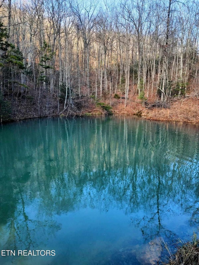 74 Black Cat Trl, Rockwood, TN 37854 - photo 22