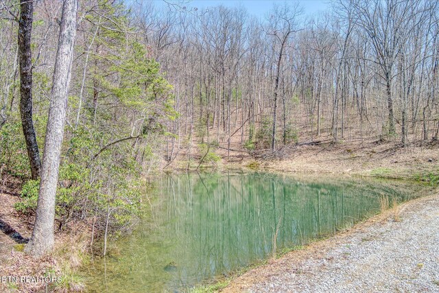 74 Black Cat Trl, Rockwood, TN 37854 - photo 23