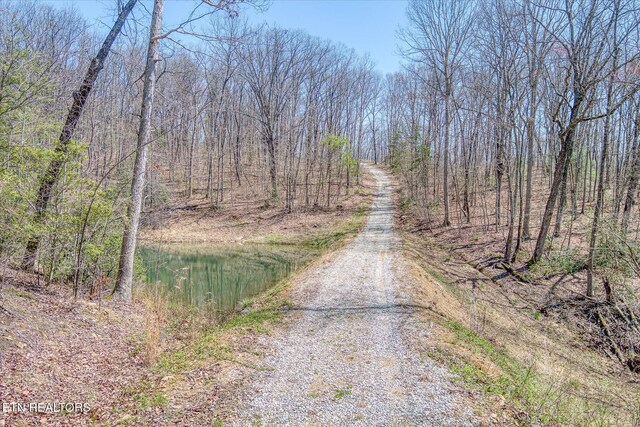 74 Black Cat Trl, Rockwood, TN 37854 - photo 24
