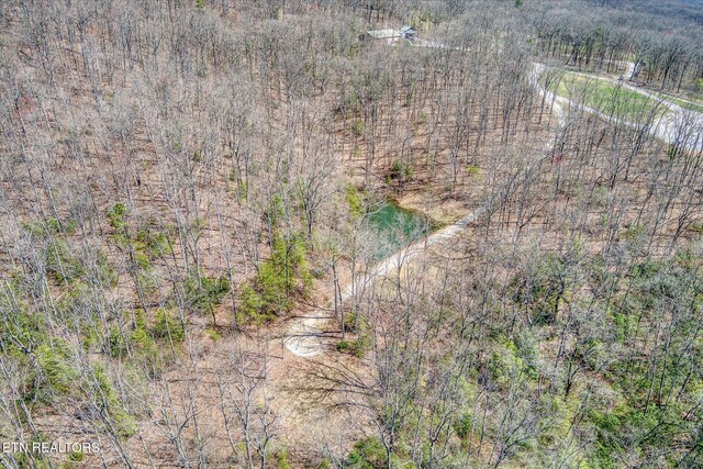 74 Black Cat Trl, Rockwood, TN 37854 - photo 25