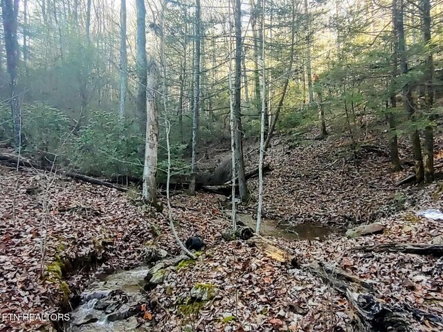 74 Black Cat Trl, Rockwood, TN 37854 - photo 26