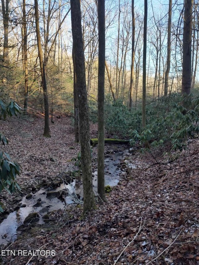 74 Black Cat Trl, Rockwood, TN 37854 - photo 27