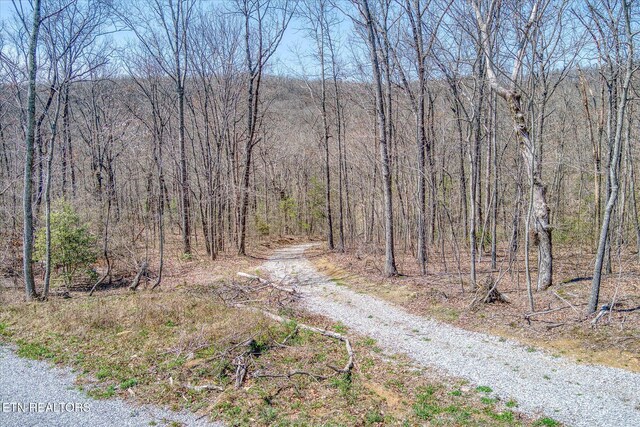74 Black Cat Trl, Rockwood, TN 37854 - photo 33