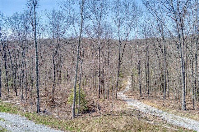 74 Black Cat Trl, Rockwood, TN 37854 - photo 34