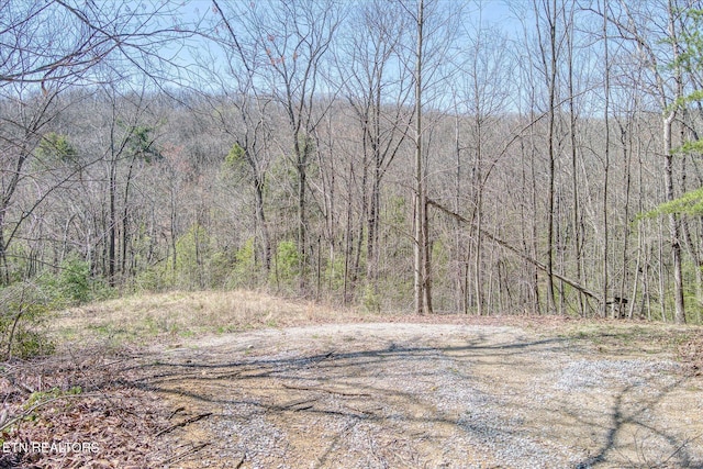 74 Black Cat Trl, Rockwood, TN 37854 - photo 35