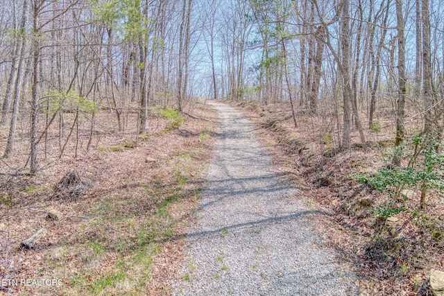 74 Black Cat Trl, Rockwood, TN 37854 - photo 36