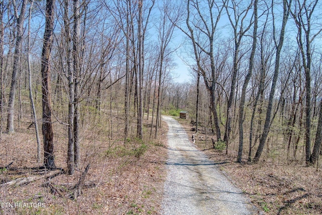 74 Black Cat Trl, Rockwood, TN 37854 - photo 37