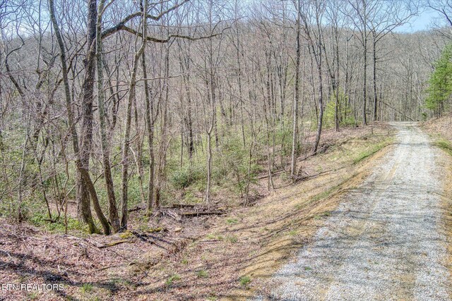 74 Black Cat Trl, Rockwood, TN 37854 - photo 38