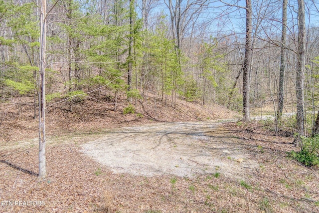 74 Black Cat Trl, Rockwood, TN 37854 - photo 39