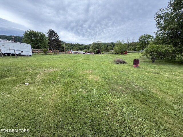 view of grassy yard