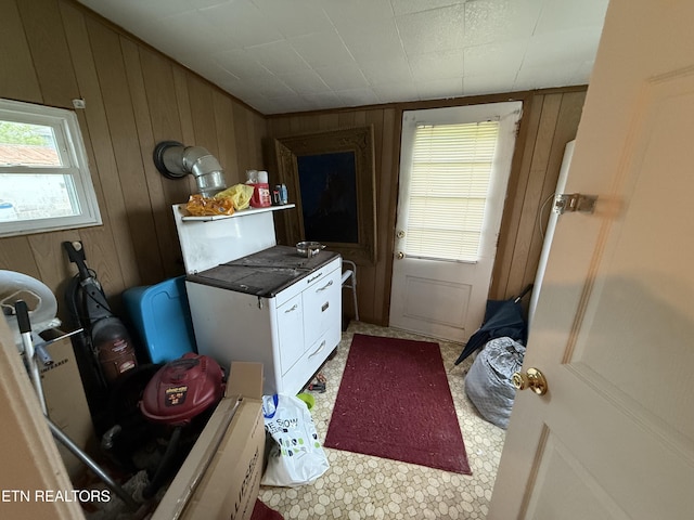 laundry area with wood walls
