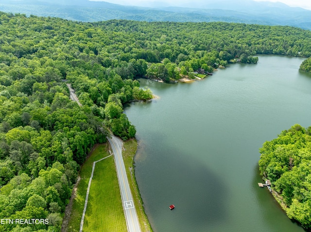 6228 Bear Rd, Tallassee, TN 37878 - photo 42