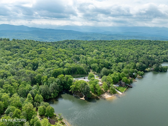 6228 Bear Rd, Tallassee, TN 37878 - photo 43