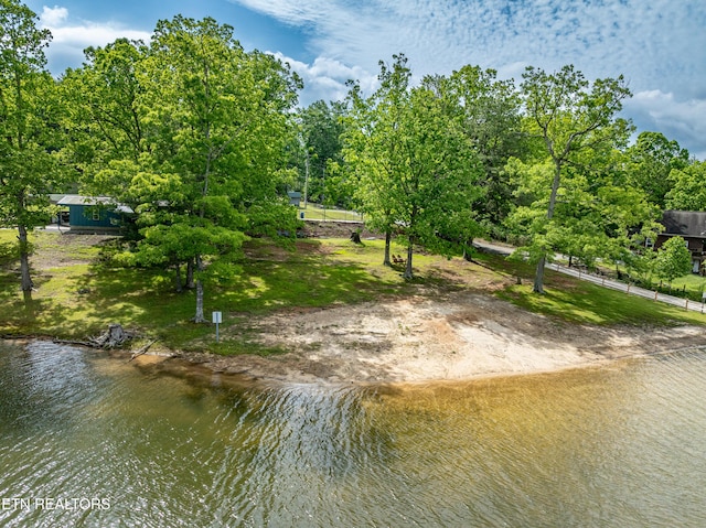 6228 Bear Rd, Tallassee, TN 37878 - photo 44
