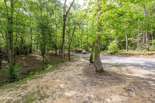 6228 Bear Rd, Tallassee, TN 37878 - photo 24