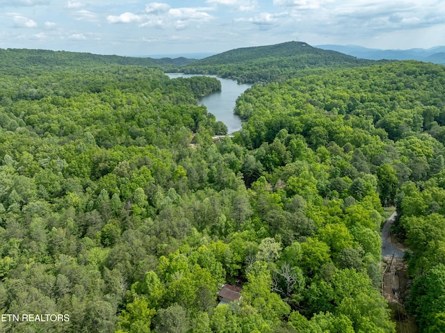 6228 Bear Rd, Tallassee, TN 37878 - photo 36