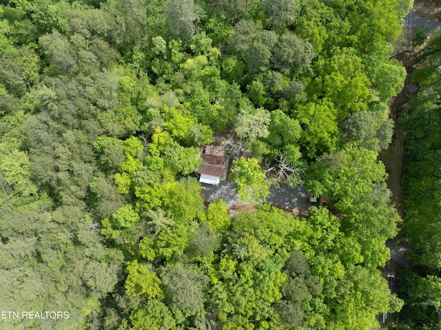 6228 Bear Rd, Tallassee, TN 37878 - photo 38