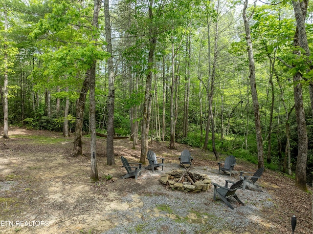 6228 Bear Rd, Tallassee, TN 37878 - photo 3