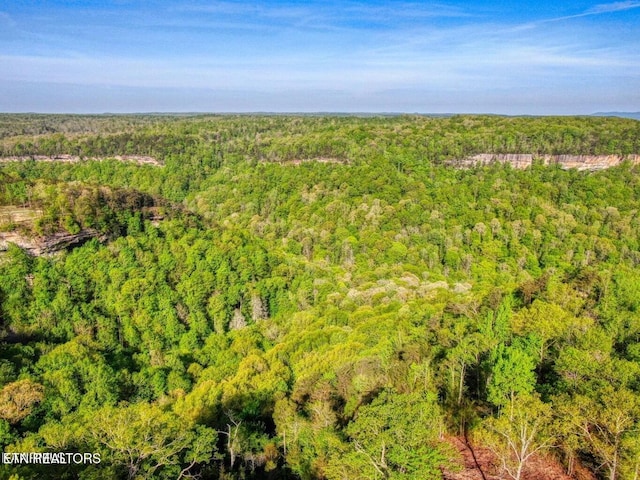 Grandview Way, Jamestown, TN 38556