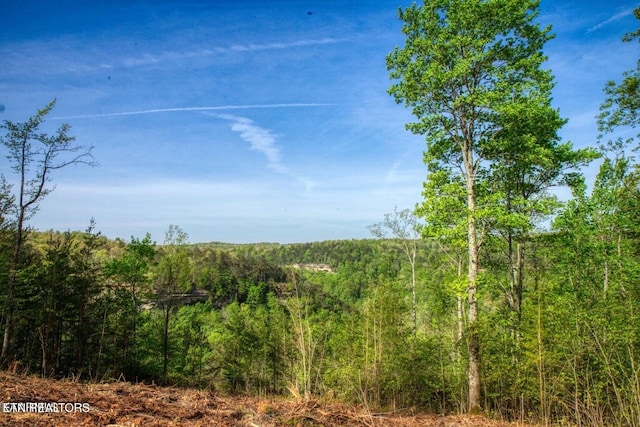 Grandview Way, Jamestown, TN 38556