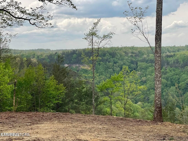 Grandview Way, Jamestown, TN 38556