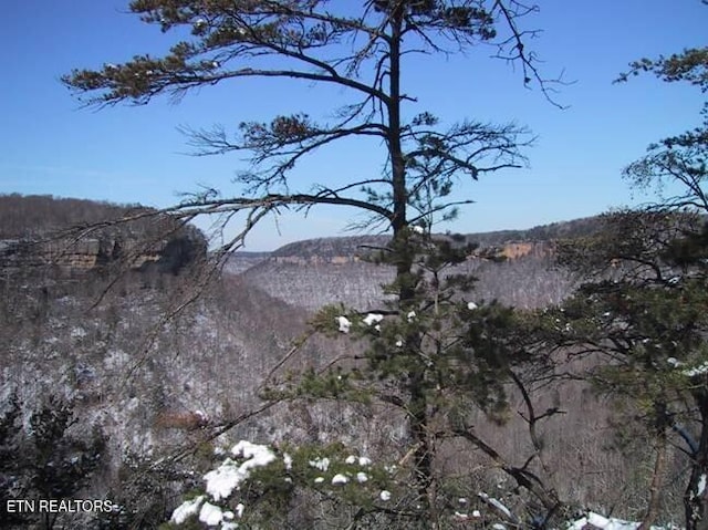Grandview Way, Jamestown, TN 38556