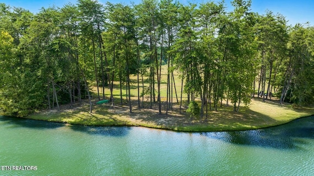 946 Bay Creek Dr, Vonore, TN 37885 - photo 1