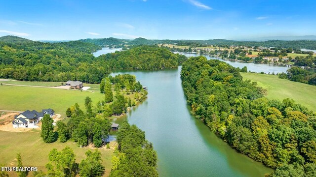946 Bay Creek Dr, Vonore, TN 37885 - photo 10