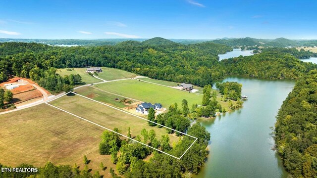946 Bay Creek Dr, Vonore, TN 37885 - photo 5