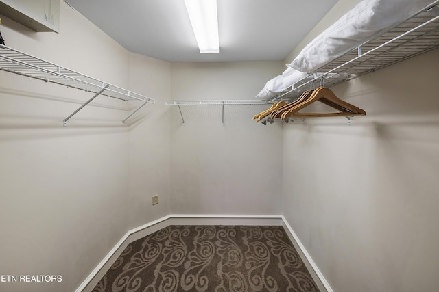 spacious closet with carpet floors