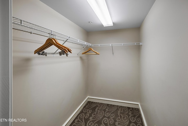 view of spacious closet