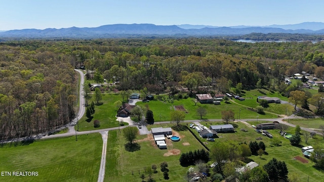 1712 Old Oak Grove Rd, Dandridge, TN 37725 - view of property location with a forest and a mountain backdrop