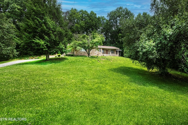 161 Strutt St, Oliver Springs, TN 37840 - photo 2