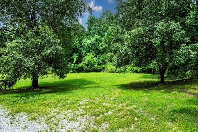 161 Strutt St, Oliver Springs, TN 37840 - photo 28