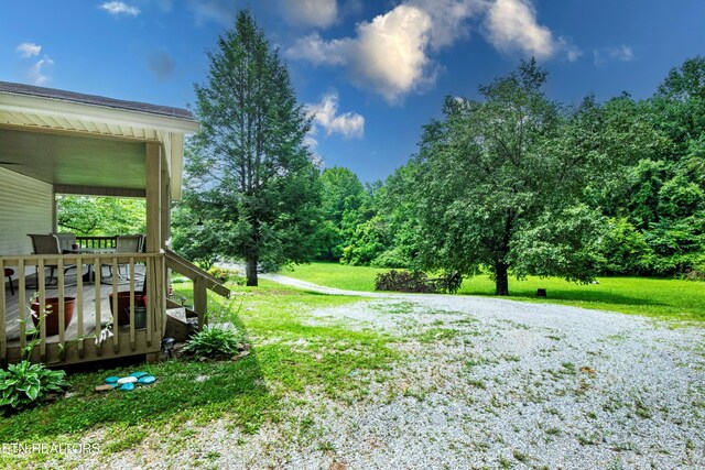 161 Strutt St, Oliver Springs, TN 37840 - photo 31