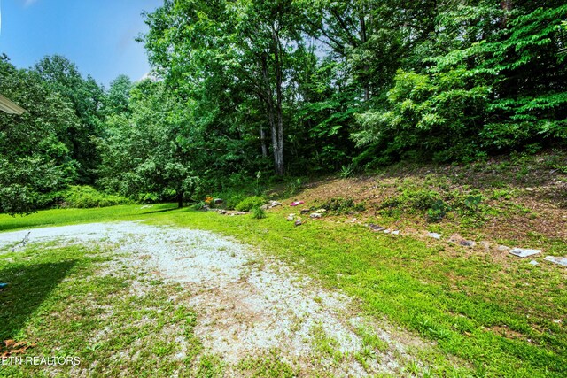 161 Strutt St, Oliver Springs, TN 37840 - photo 33