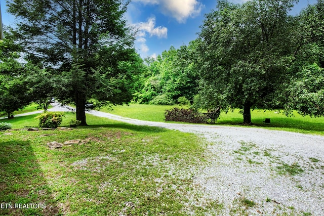 161 Strutt St, Oliver Springs, TN 37840 - photo 37