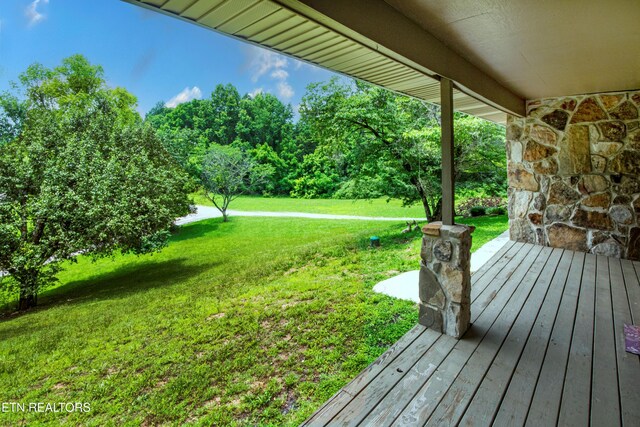 161 Strutt St, Oliver Springs, TN 37840 - photo 40