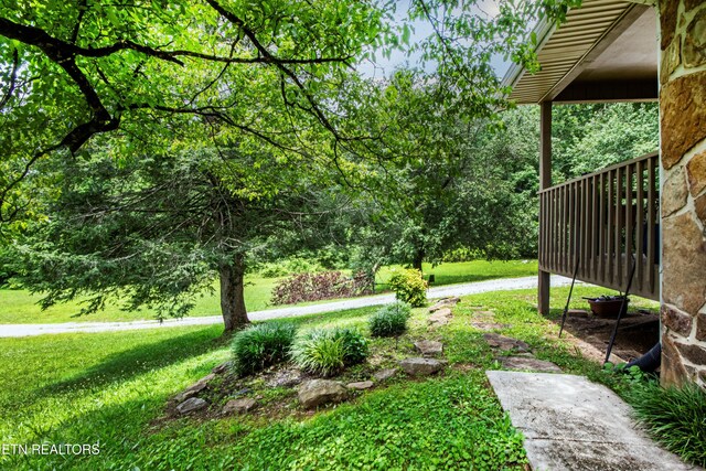 161 Strutt St, Oliver Springs, TN 37840 - photo 41