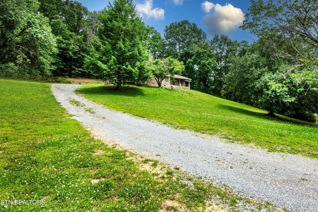 161 Strutt St, Oliver Springs, TN 37840 - photo 45