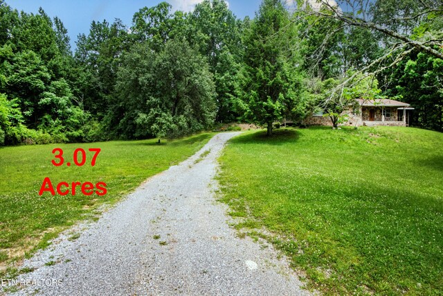 161 Strutt St, Oliver Springs, TN 37840 - photo 46
