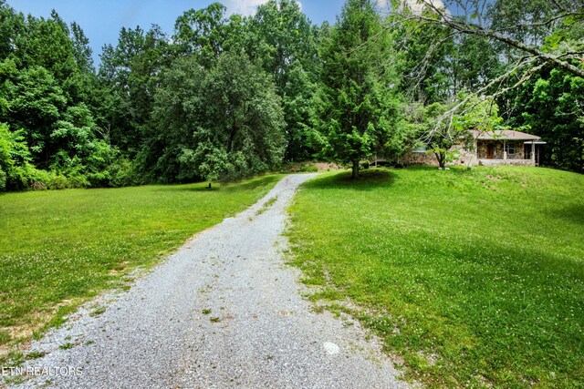 161 Strutt St, Oliver Springs, TN 37840 - photo 47