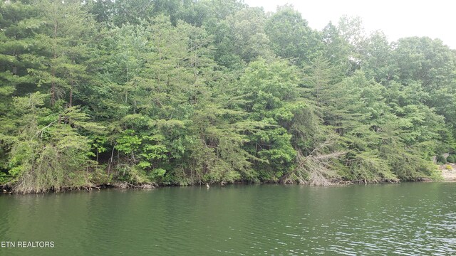 104 Chatham Ln, Fairfield Glade, TN 38558