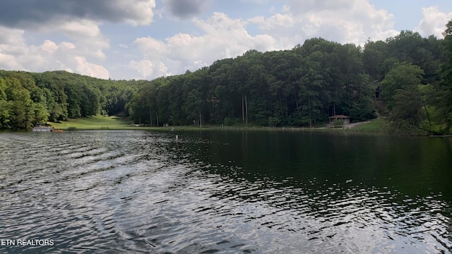 104 Chatham Ln, Fairfield Glade, TN 38558