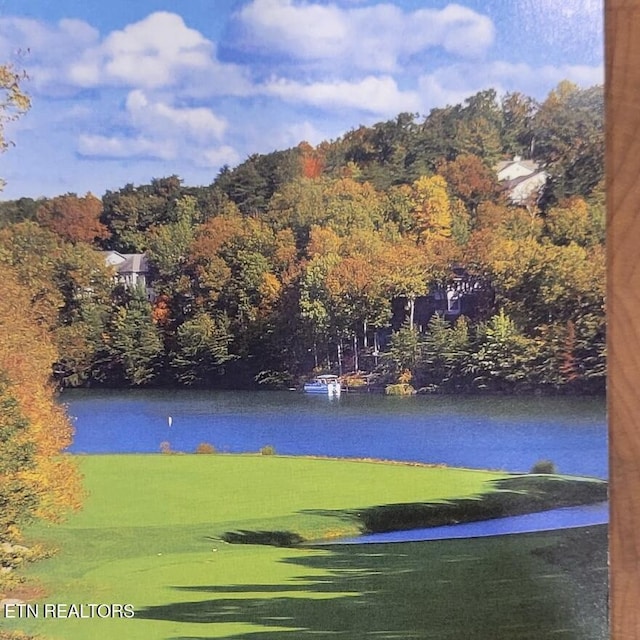 104 Chatham Ln, Fairfield Glade, TN 38558