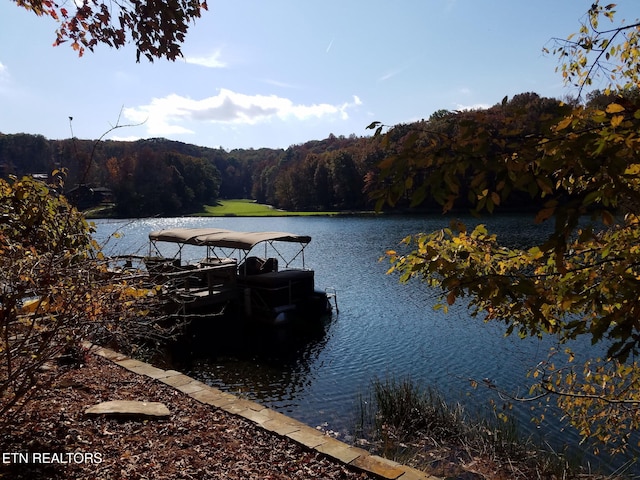 104 Chatham Ln, Fairfield Glade, TN 38558